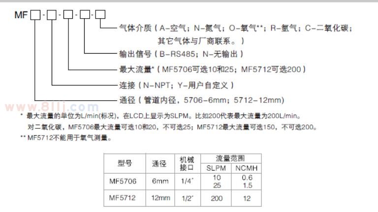 微型氣體流量計(jì)型號(hào)解讀